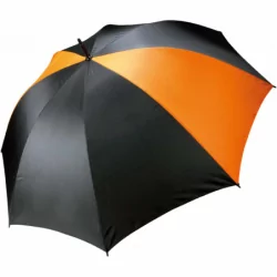 Parapluie tempête